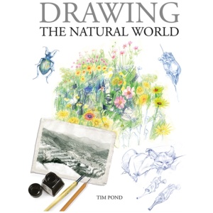 Drawing the Natural World