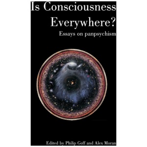 Is Consciousness Everywhere?: Essays on Panpsychism