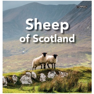 Sheep of Scotland