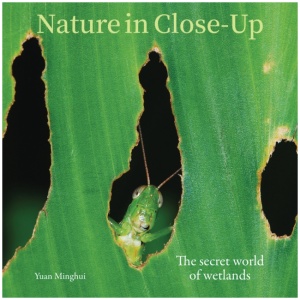 Nature in Close-Up: The secret world of wetlands