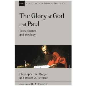 The Glory of God and Paul: Text, Themes and Theology