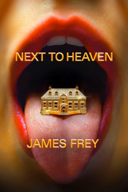 Next to Heaven: The PROVOCATIVE new novel from BESTSELLING author of A Million Little Pieces