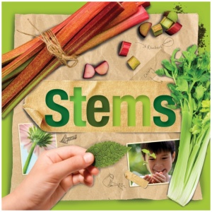 Stems