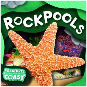 Rockpools