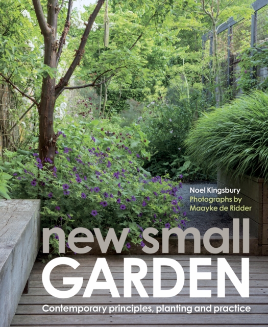 New Small Garden: Contemporary principles, planting and practice