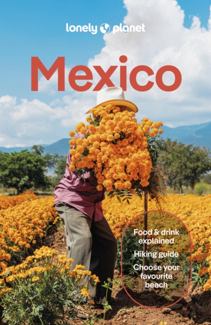 Lonely Planet Mexico: Plan the Trip of a Lifetime | Detailed Itineraries & Maps | Insider Tips | Covers ETulum, Oaxaca, Copper Canyon and more