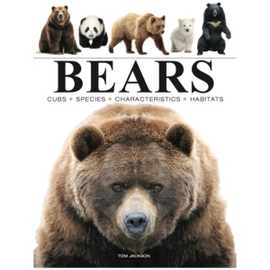 Bears