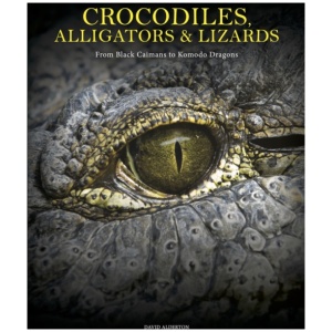 Crocodiles, Alligators & Lizards: From Black Caimans to Komodo Dragons