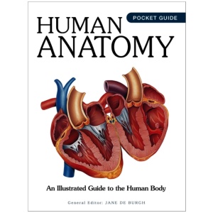 Human Anatomy: An Illustrated Guide to the Human Body