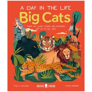Big Cats (A Day in the Life): What Do Lions, Tigers and Panthers Get up to All Day?