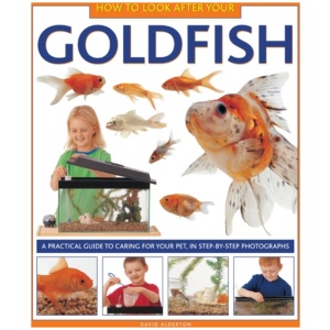 How to Look After Your Goldfish