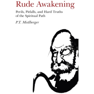 Rude Awakening – Perils, Pitfalls, and Hard Truths of the Spiritual Path
