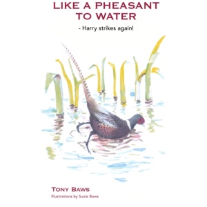 Like a Pheasant to Water: Harry strikes again