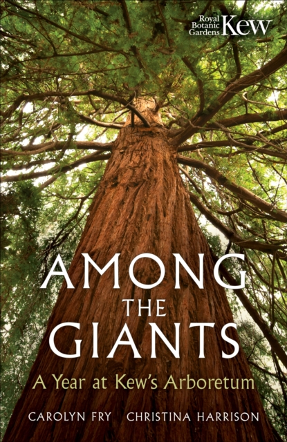 Among the Giants: A Year at Kew's Arboretum (Royal Botanic Gardens, Kew)