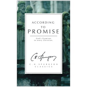 According to Promise: God's Promises to Every Christian