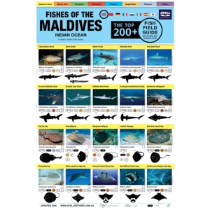 Maldives Fish Field Guide "Top 200+"