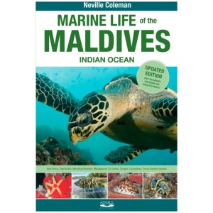 Marine Life of the Maldives - Indian Ocean