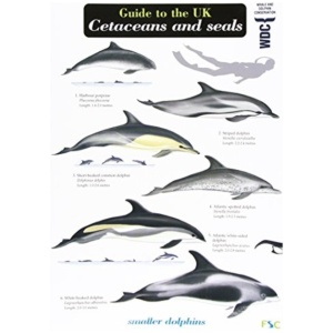 Guide to the UK Cetaceans and Seals