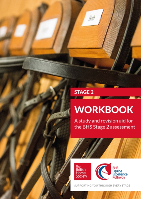 BHS Stage 2 Workbook: A study and revision aid for the BHS Stage 2 assessment