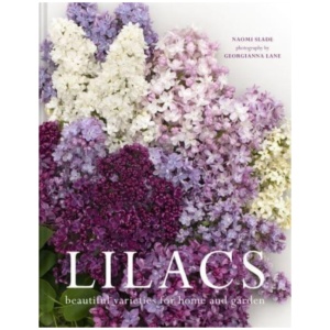 Lilacs: Beautiful varieties for home and garden