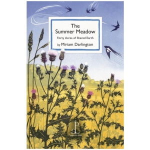 The Summer Meadow: Forty Acres of Shared Earth