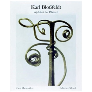 Karl Blossfeldt: Alphabet of Plants