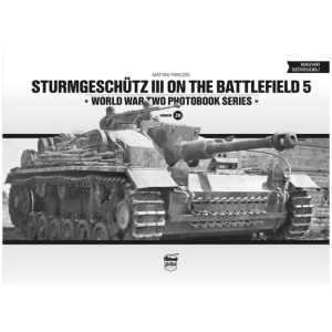 Sturmgeschutz III on the Battlefield 5